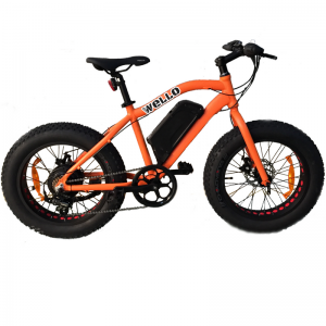 Location en ligne vélo électrique pour enfant à Azur, Souston, Messanges, Moliers, Vieux boucau