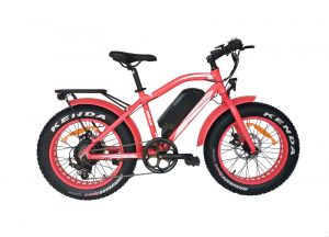Location velo fat bike electrique junior bassin d'arcachon