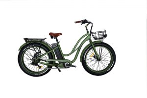 location velo electrique fat bike femme mixte bassin d'arcachon