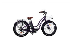 location velo electrique fat bike femme mixte