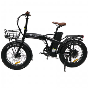 Location velo electrique fat bike la teste de buch