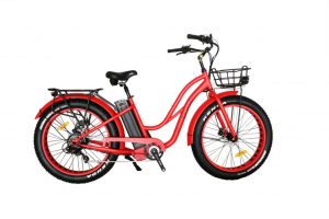 location fat bike electrique wello bike homme femme bassin d'arcachon