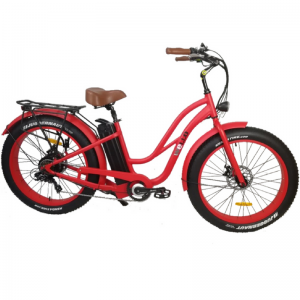 Location fét bike électrique à Azur, Moliets, Vieux boucau, Léon, Dax, Capbreton