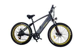 Location vélo VTT fat bike electrique le teich