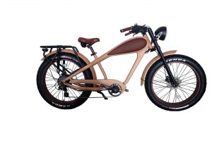 Location vélo électrique vintage la teste de buch